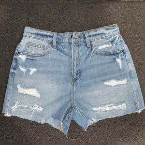 Cello Meduim Shorts: New